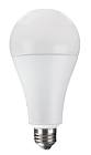LED A23 200W ND 41K 120-277 TCP