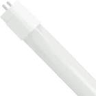 LED 24.5W 4' T8 BY 2E 41K SC TCP