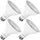 LED PAR20