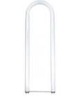 FB31T8 Medium Bi-Pin