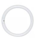 FB32T8 Medium Bi-Pin