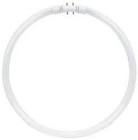 FC12T9 4-Pin Base