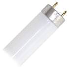 SYL FBO32/841/6/ECO U BNT OCTRN FL LP (21671)