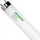 SYL FO25/741/ECO FLR LAMP 22140