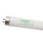 SYL FO32/850/ECO FLUOR LAMP (22143)
