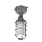 LED VAPOR TIGHT JELLY JAR