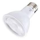 PAR20 E26 5.5W
Wet Location 120V Dimmable