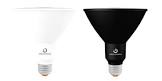 PAR20 Swappable Lens 15°
REFINE Series