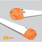 4 ft. T8 Emergency Tube 15W
CCT select Bypass 120-277V
25 pack
