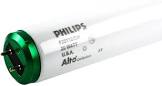Philips F20T12/CW (273326)