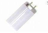 FC55T5 4-Pin Base