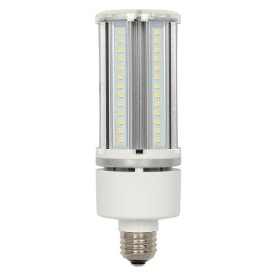 LED T19