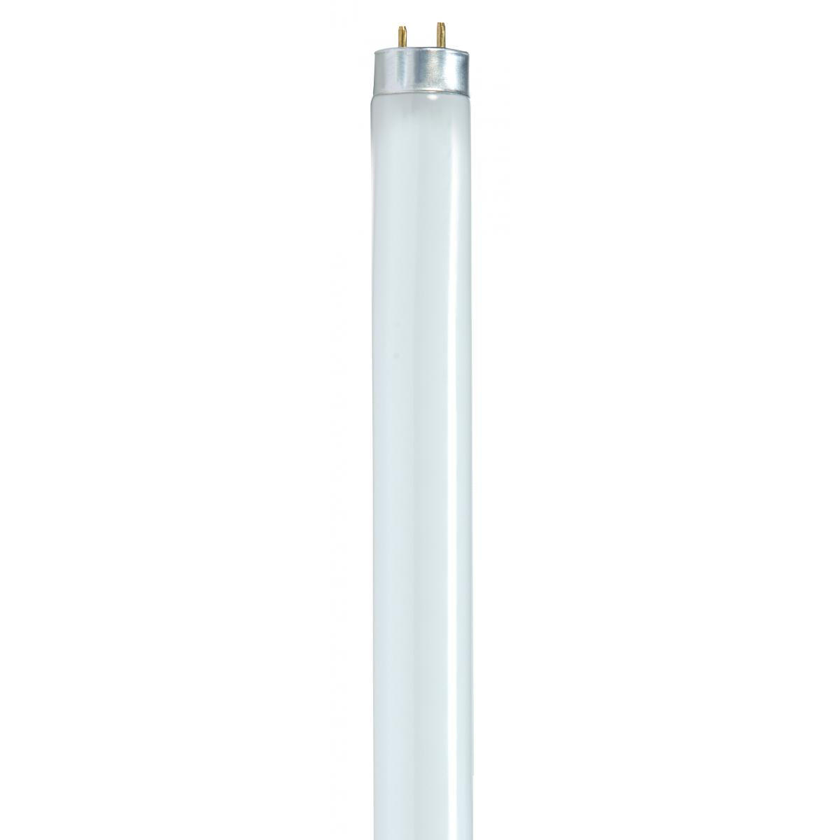 F17T8 Medium Bi-Pin