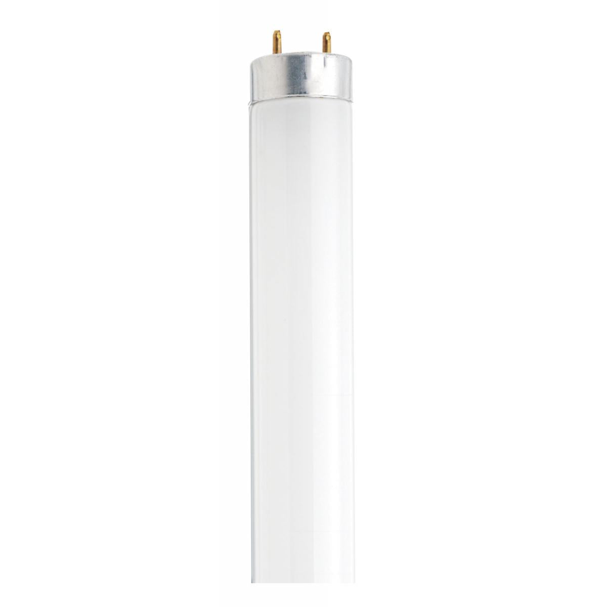 F30T8 Medium Bi-Pin