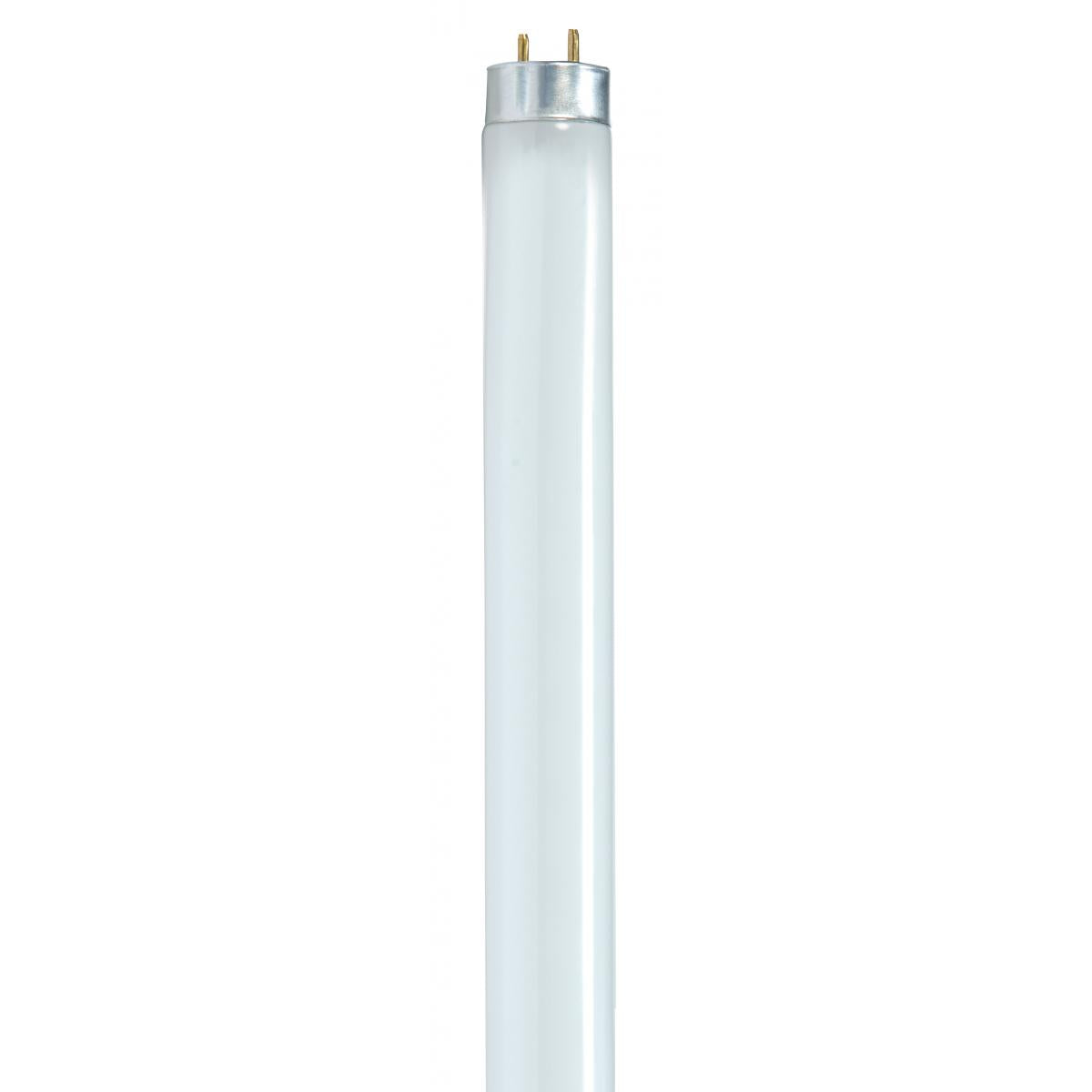F32T8 Medium Bi-Pin