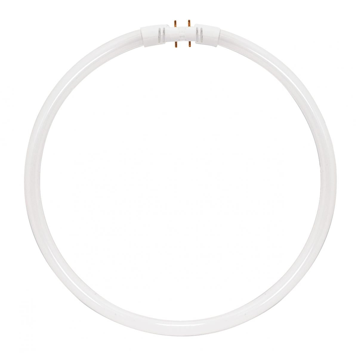 FC55T5 4-Pin Base