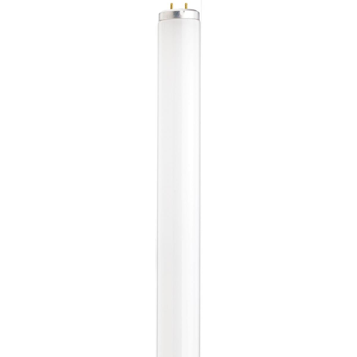 F15T12 Bi-Pin