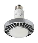 30W RECESSED PAR RETROFIT E26 5000K