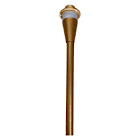 AA